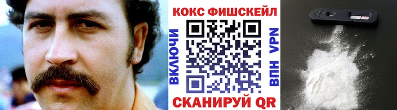 закладки Инсар КОКАИН FishScale