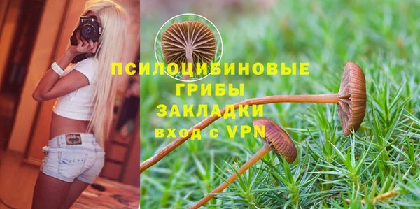 кокс Алексин