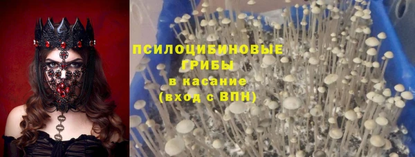 кокс Алексин