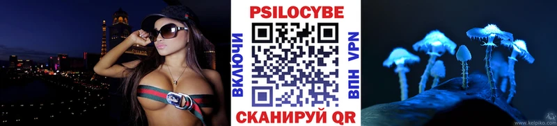 хочу наркоту  ОМГ ОМГ как войти  Псилоцибиновые грибы Cubensis  Инсар 